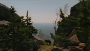 Appalachia