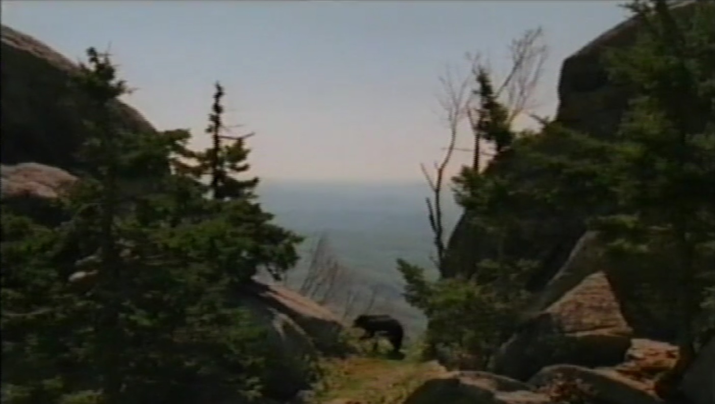 Appalachia