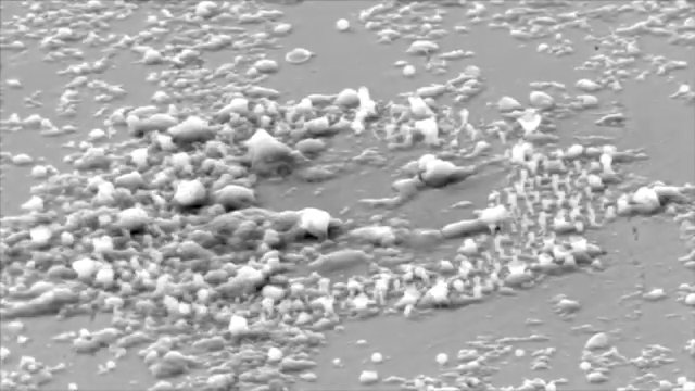 Crystal Growth IV