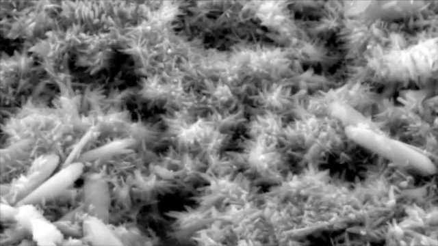 Crystal Growth I