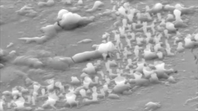 Crystal Growth V