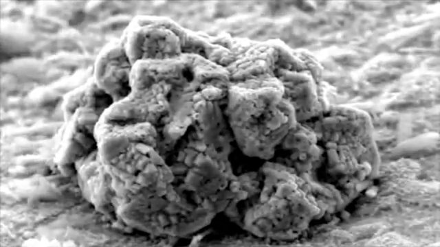 Crystal Growth II
